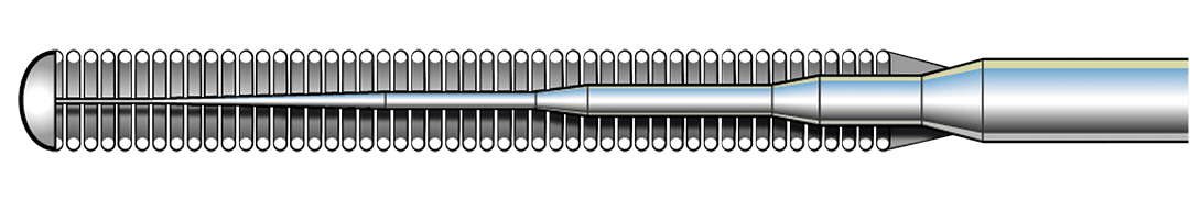Boston Scientific Forte Floppy