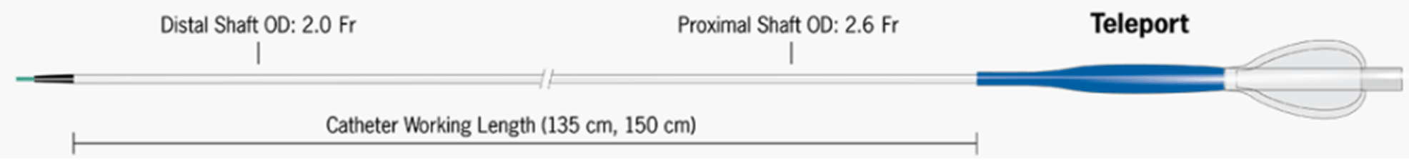 Cardiovascular Systems - Teleport