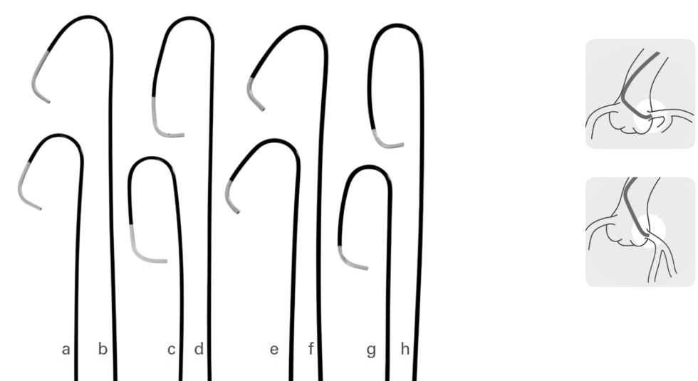 Basics Catheters Cardiology Apps